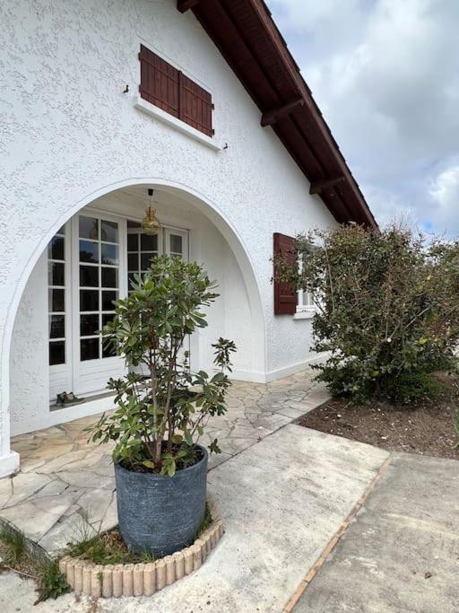 Agreable Maison Landaise Proche Du Lac Sanguinet Exterior photo